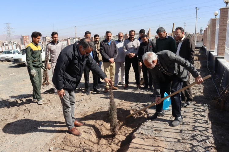 کاشت بیش از صد نهال درخت در ضلع شرقی دانشگاه